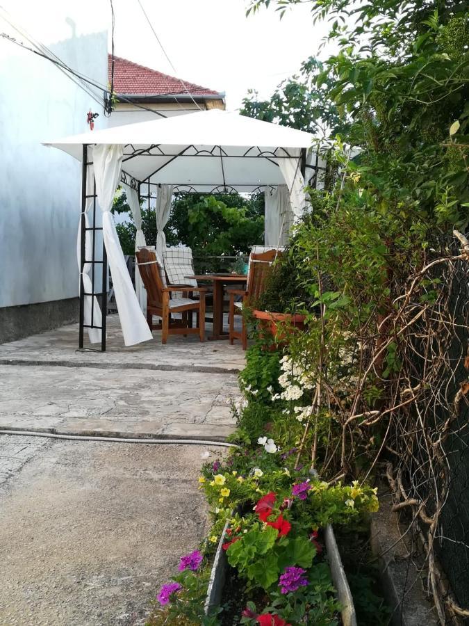 Lili Apartment In Zadar Pet Friendly, Free Parking المظهر الخارجي الصورة