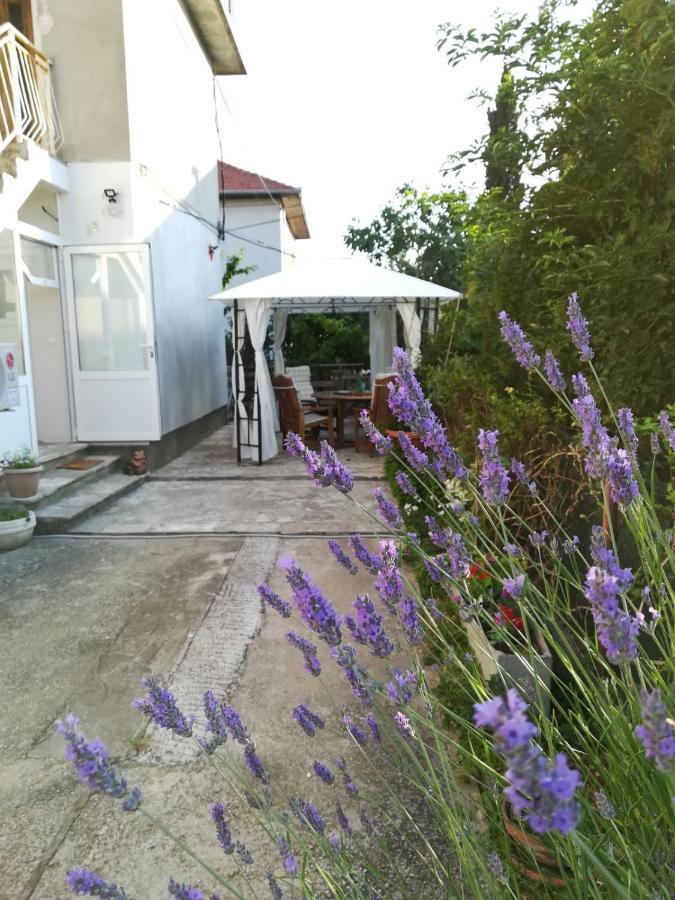 Lili Apartment In Zadar Pet Friendly, Free Parking المظهر الخارجي الصورة